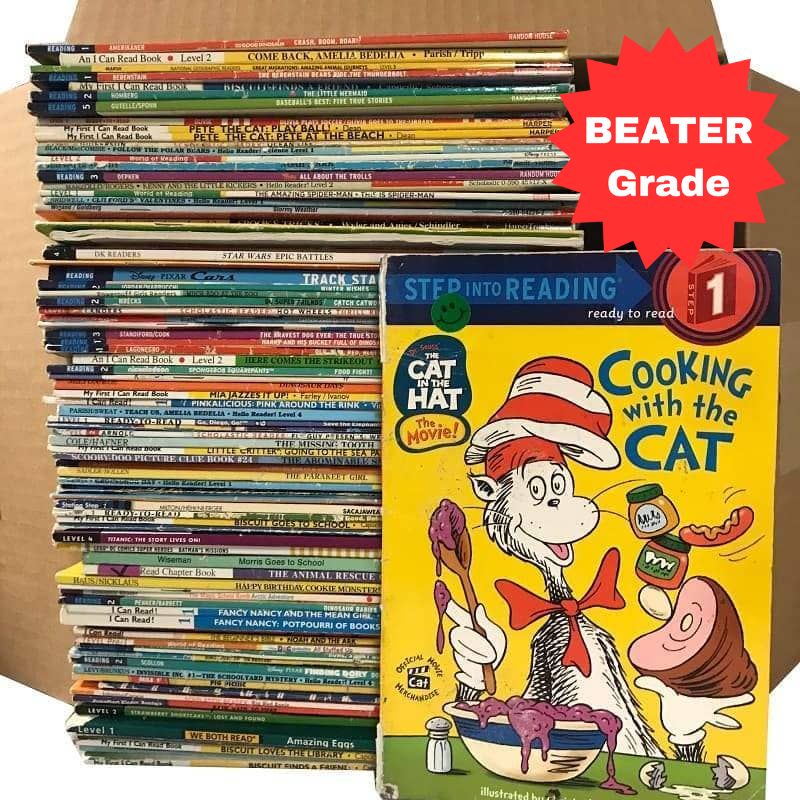 BEATER Leveled Readers kids books